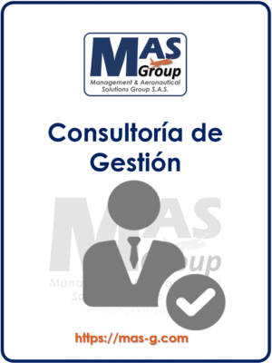 MAS-CON-GE-001 - Consultoría de Gestión (Hora de Trabajo)